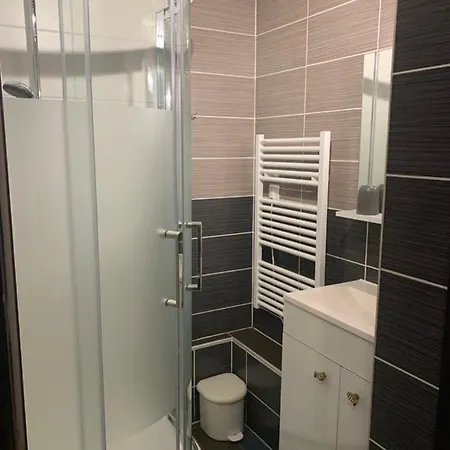 Apartment Kandahar 202 - Les Deux Alpes- Plein Centre-Station, 32M2 *