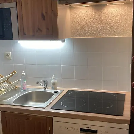 Apartment Kandahar 202 - Les Deux Alpes- Plein Centre-Station, 32M2 *